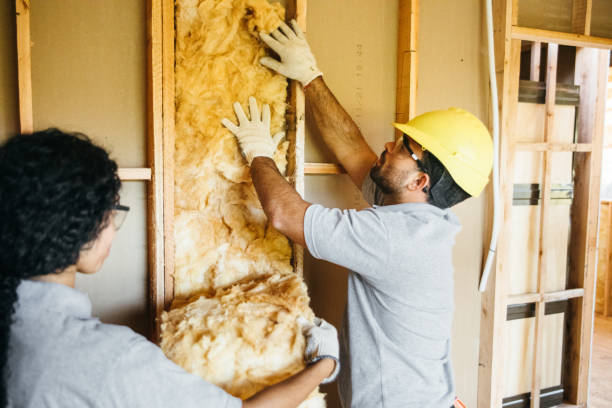 Best Residential Insulation Services  in Arthurdale, WV